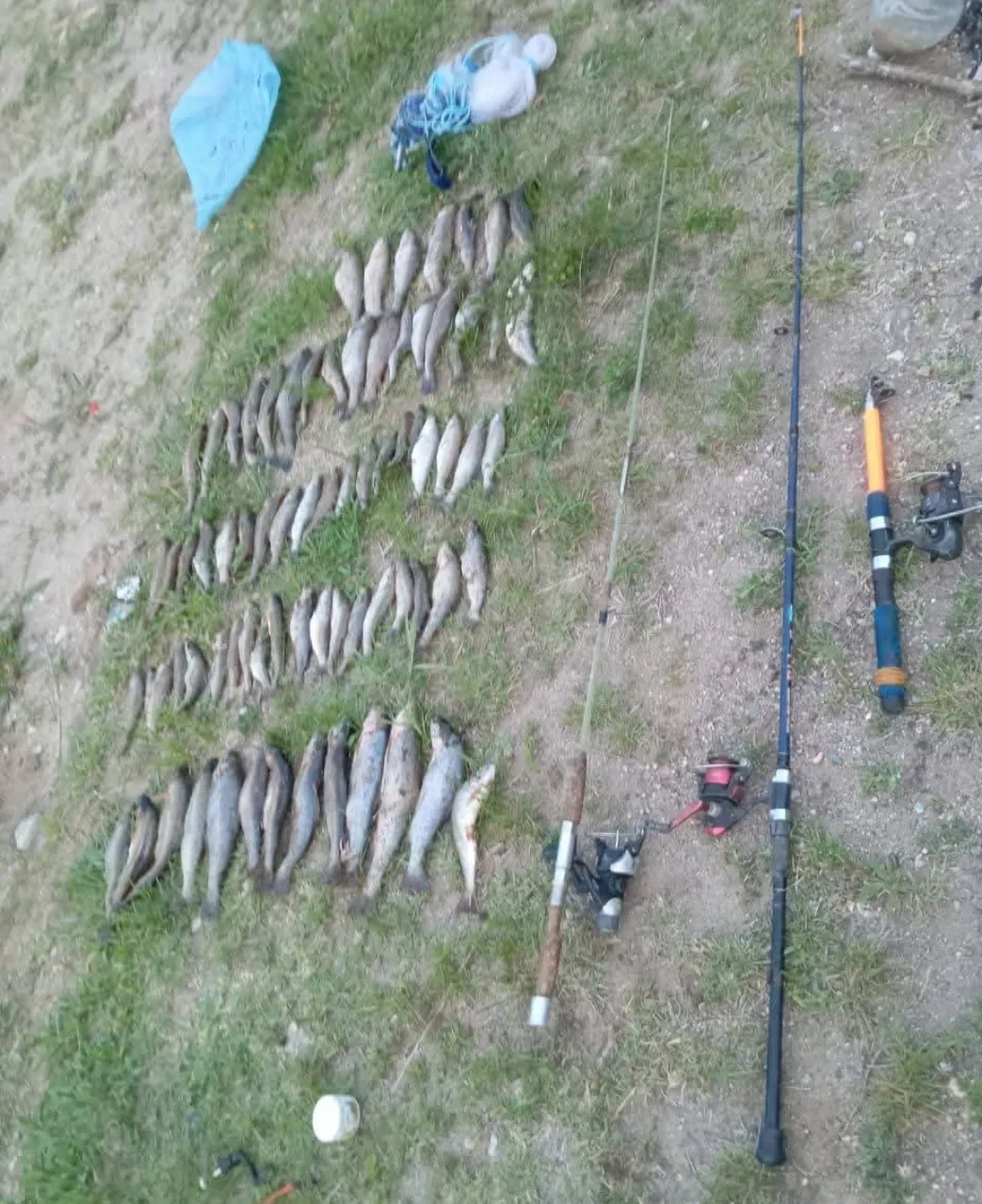 Screenshot_20260108_102241_Facebook