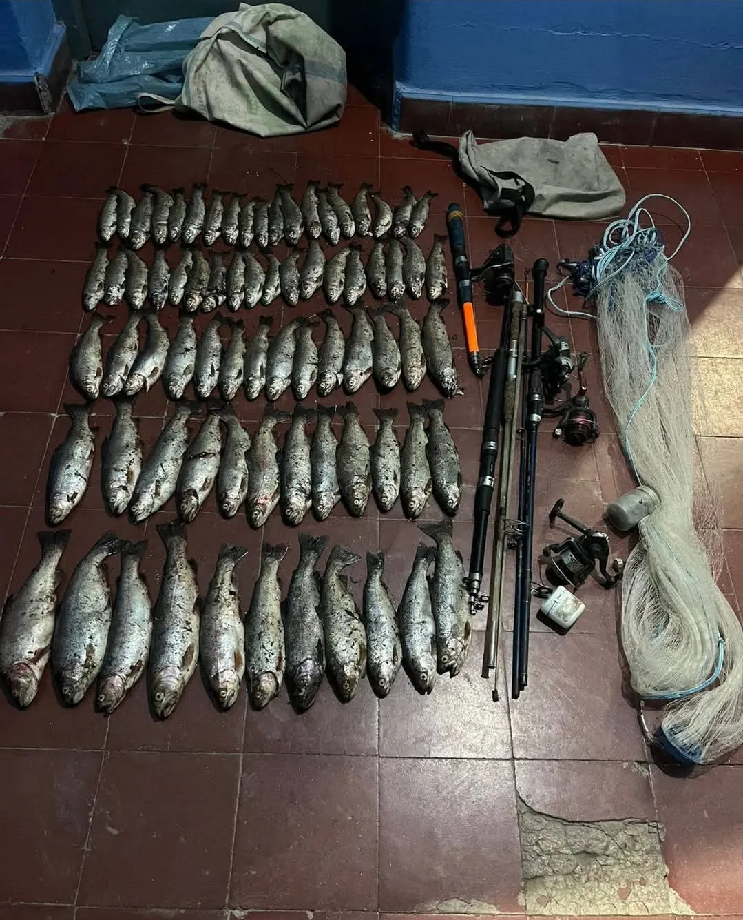 Screenshot_20260108_102259_Facebook