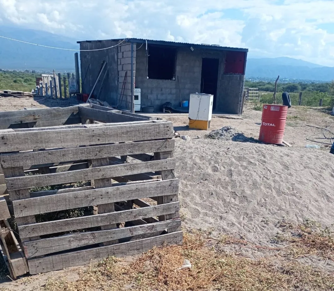 Screenshot_20250419_014045_WhatsApp~2