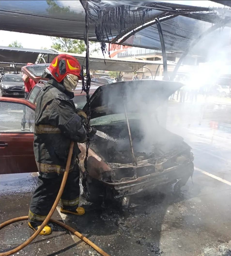 Screenshot_20260207_113325_Google