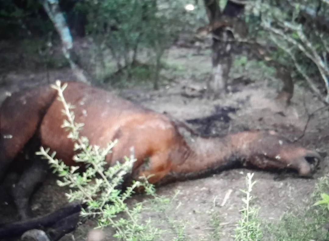 Screenshot_20241101_093328_WhatsApp~2