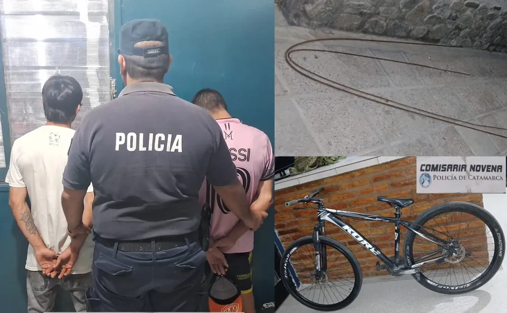 Aprehensión y Secuestro Cria 9 (1)