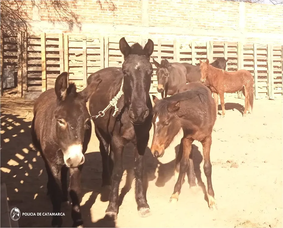 Comisaría Departamental Santa María