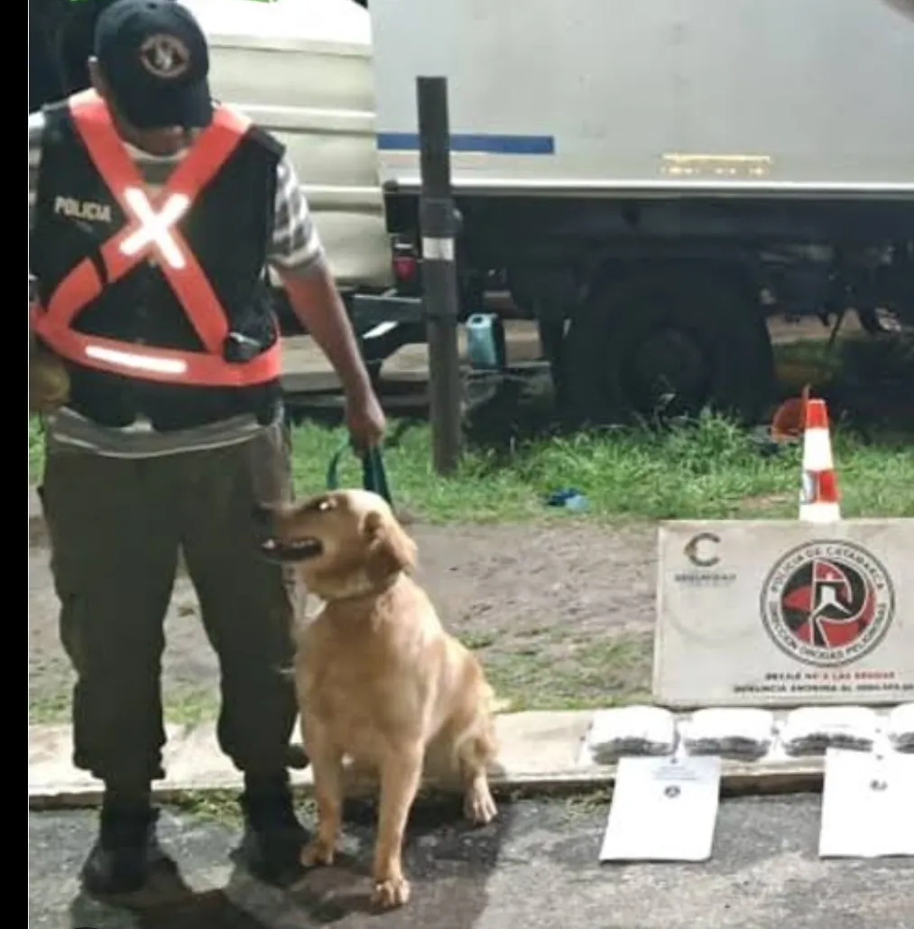 Screenshot_20251224_011622_Google