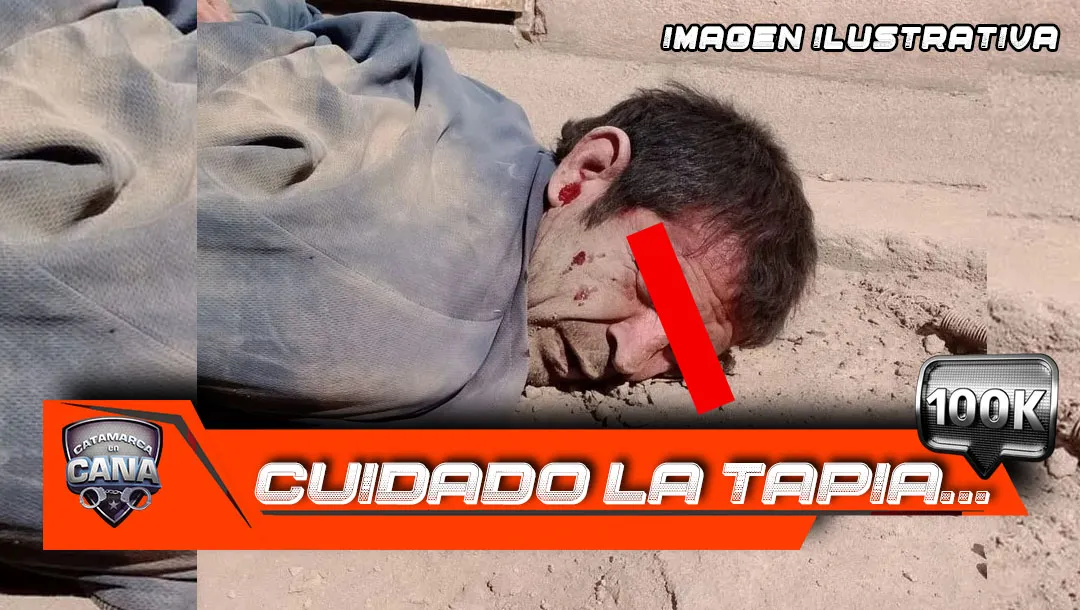 TAPAS