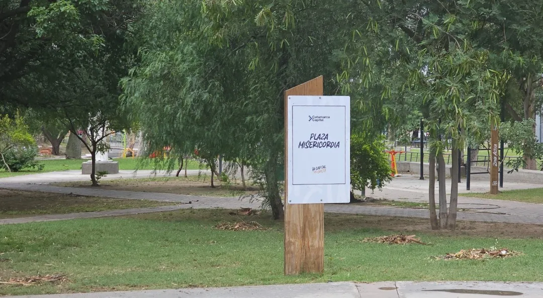 Screenshot_20241112_180442_Gallery~2