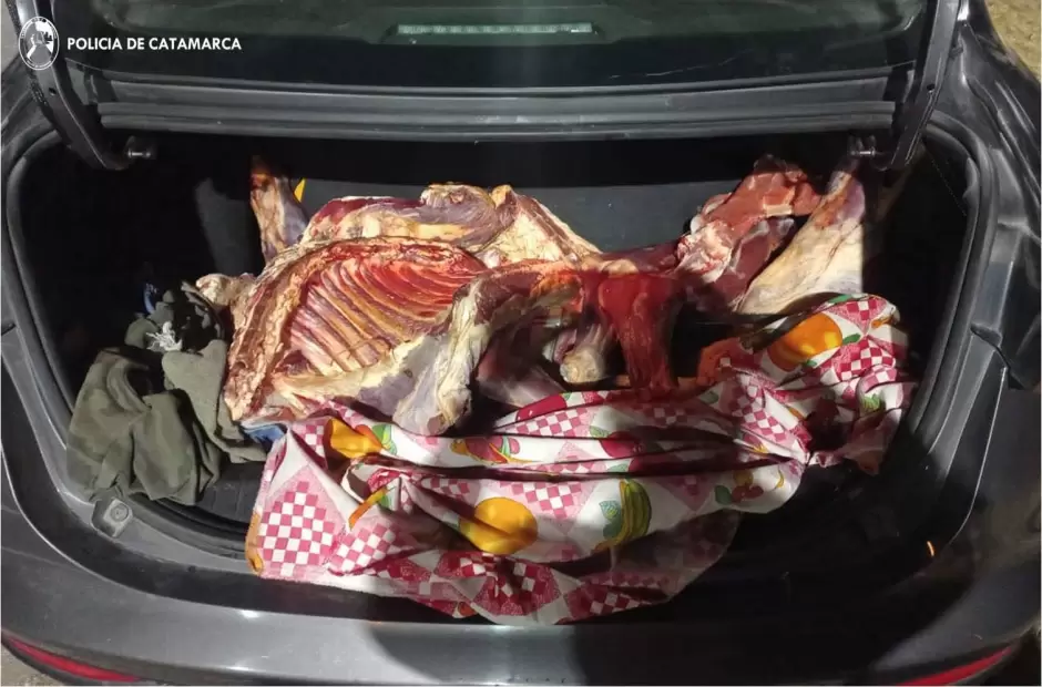 6668de7c44f09__940x620