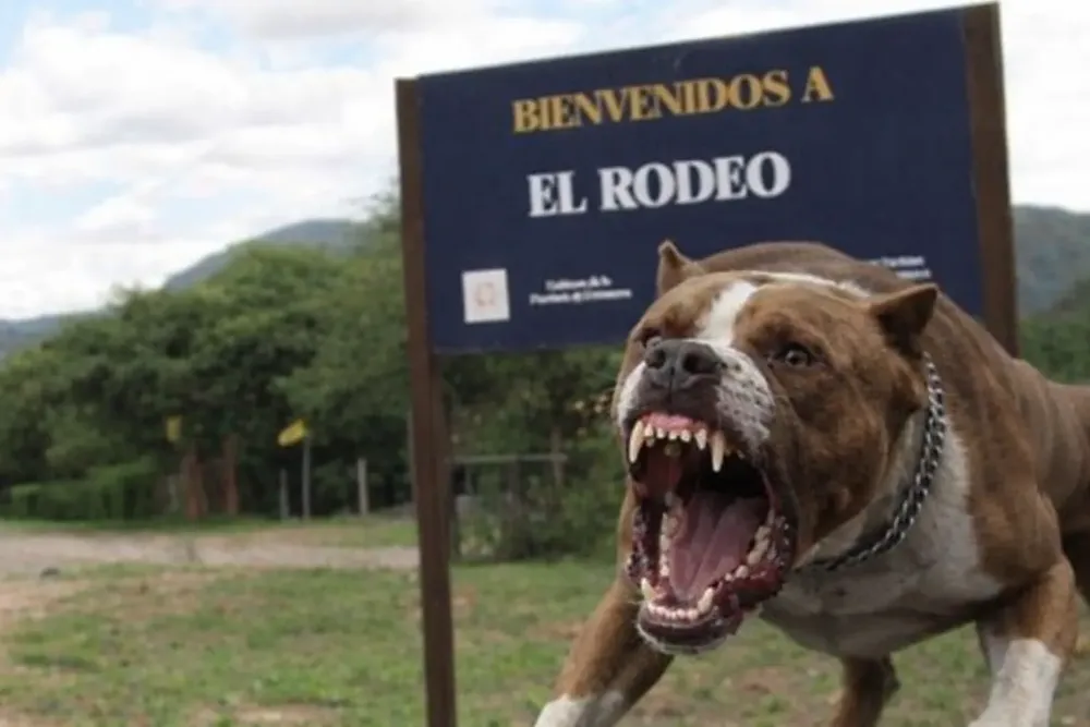 file_00000000ed20720e8cd1a76ee9970781