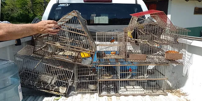 rescate-aves-gen-660x330