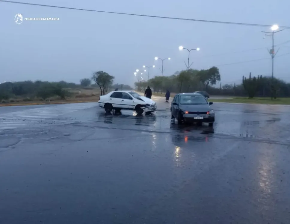 Siniestro vial-Cria. Tercera