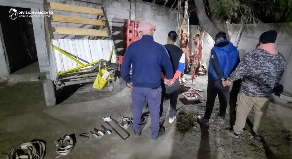 División Abigeato (1)