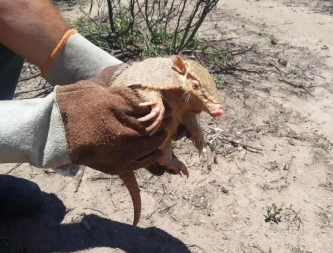 Screenshot_20230626-075951