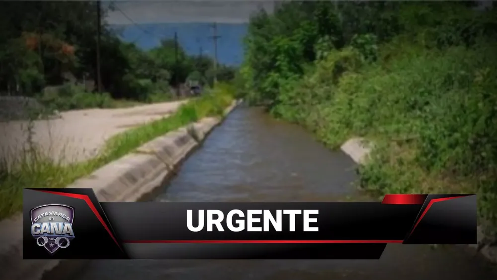 multimedia.grande.9e3cc97d0f3ee541.6b6d635f32303233303231365f3230313130305f6772616e64652e77656270