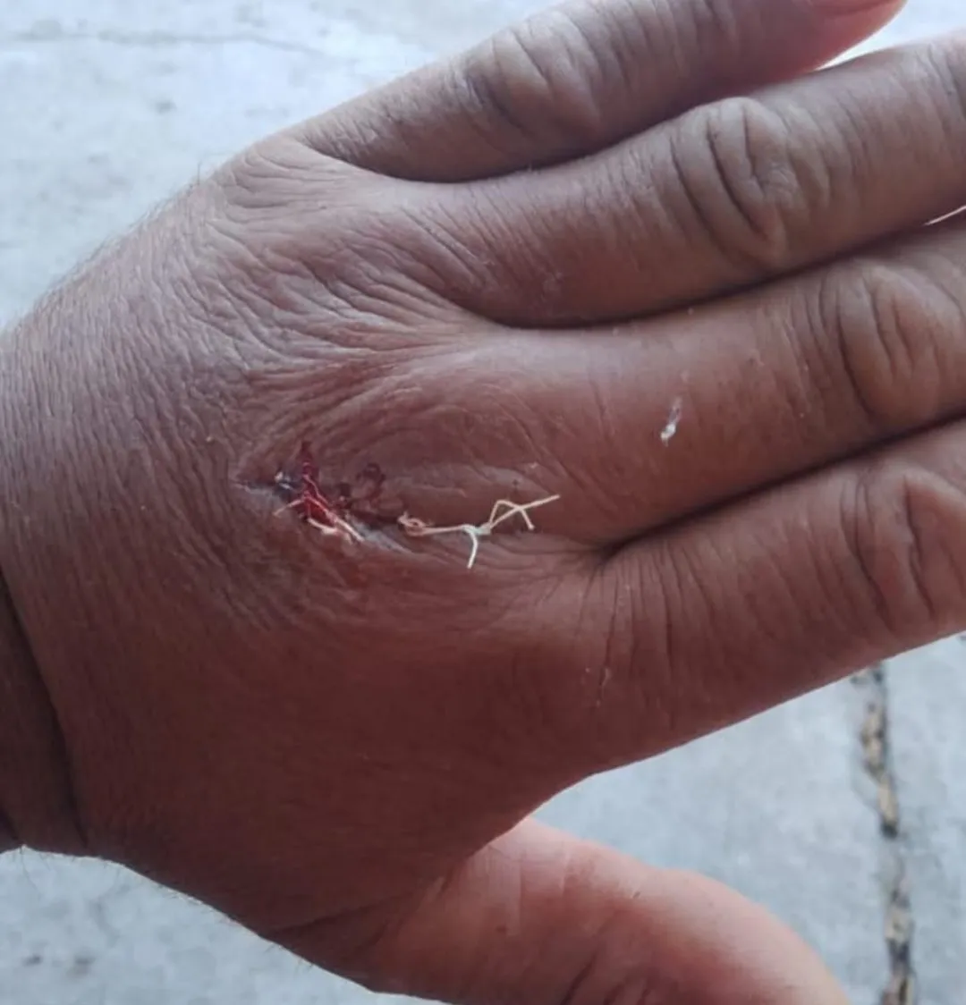 Screenshot_20241123_121833_WhatsApp~2