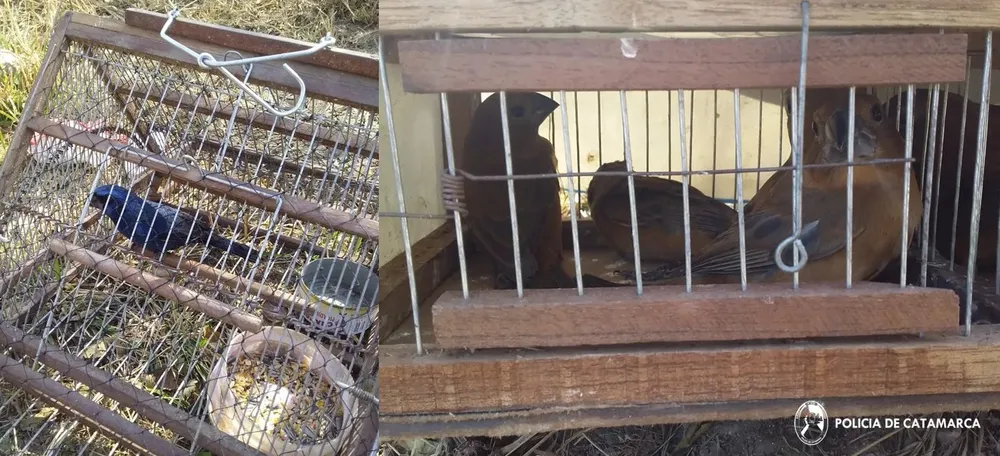 Subcomisaría de Colonia de Achalco (1)