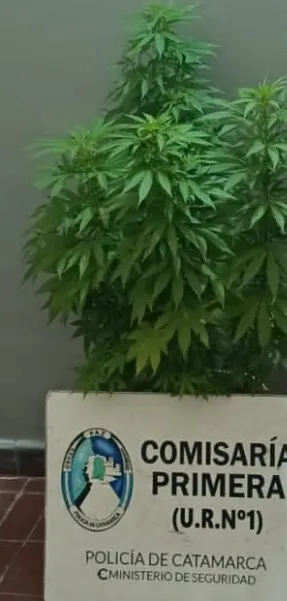 Screenshot_20251126_151816_WhatsApp