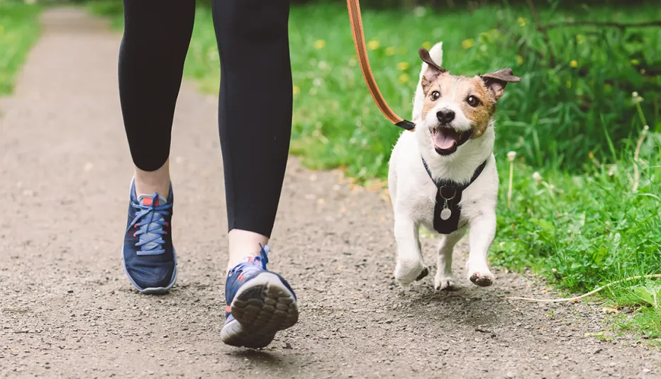 1140-woman-walking-dog-esp