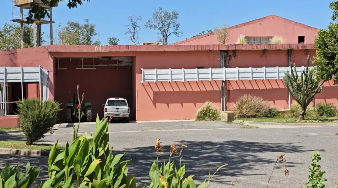 Screenshot_20240205_160101_Gallery~2