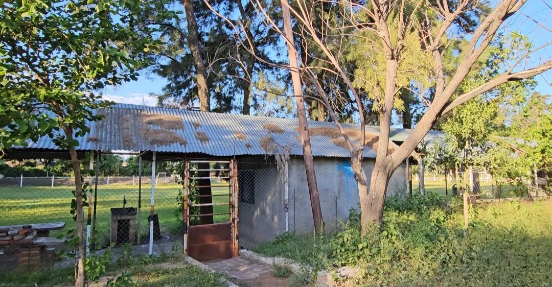 Screenshot_20240126_092415_Gallery