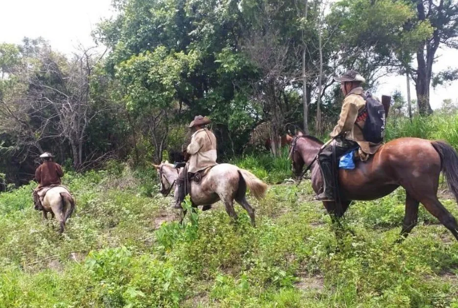 Screenshot_20240110_115011_Google~2