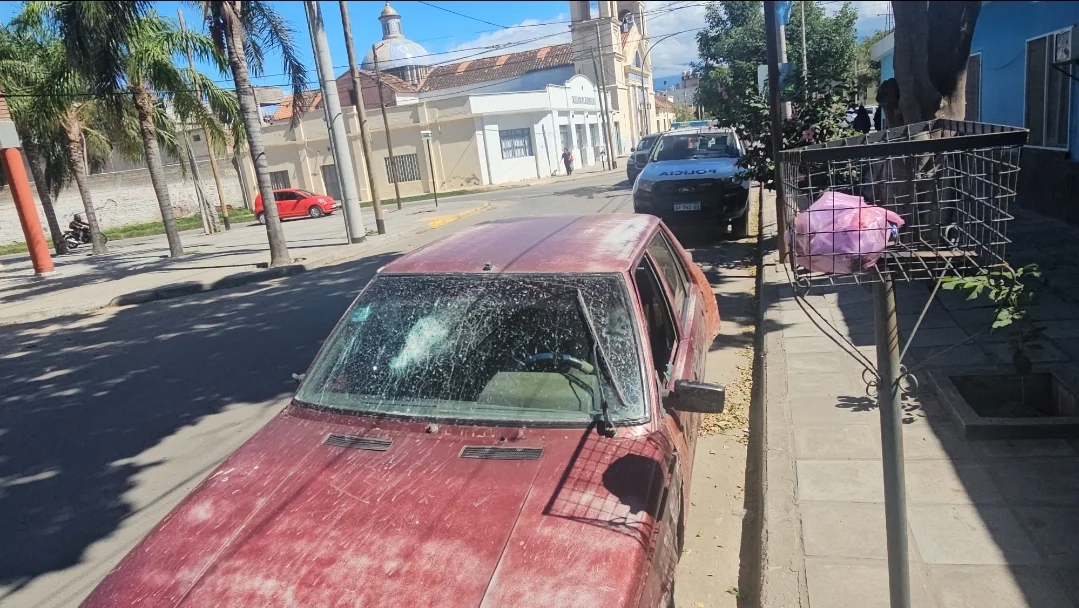 Screenshot_20260410_150210_Gallery