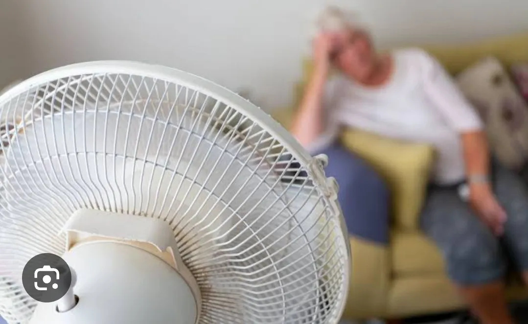 Screenshot_20251222_004622_Google