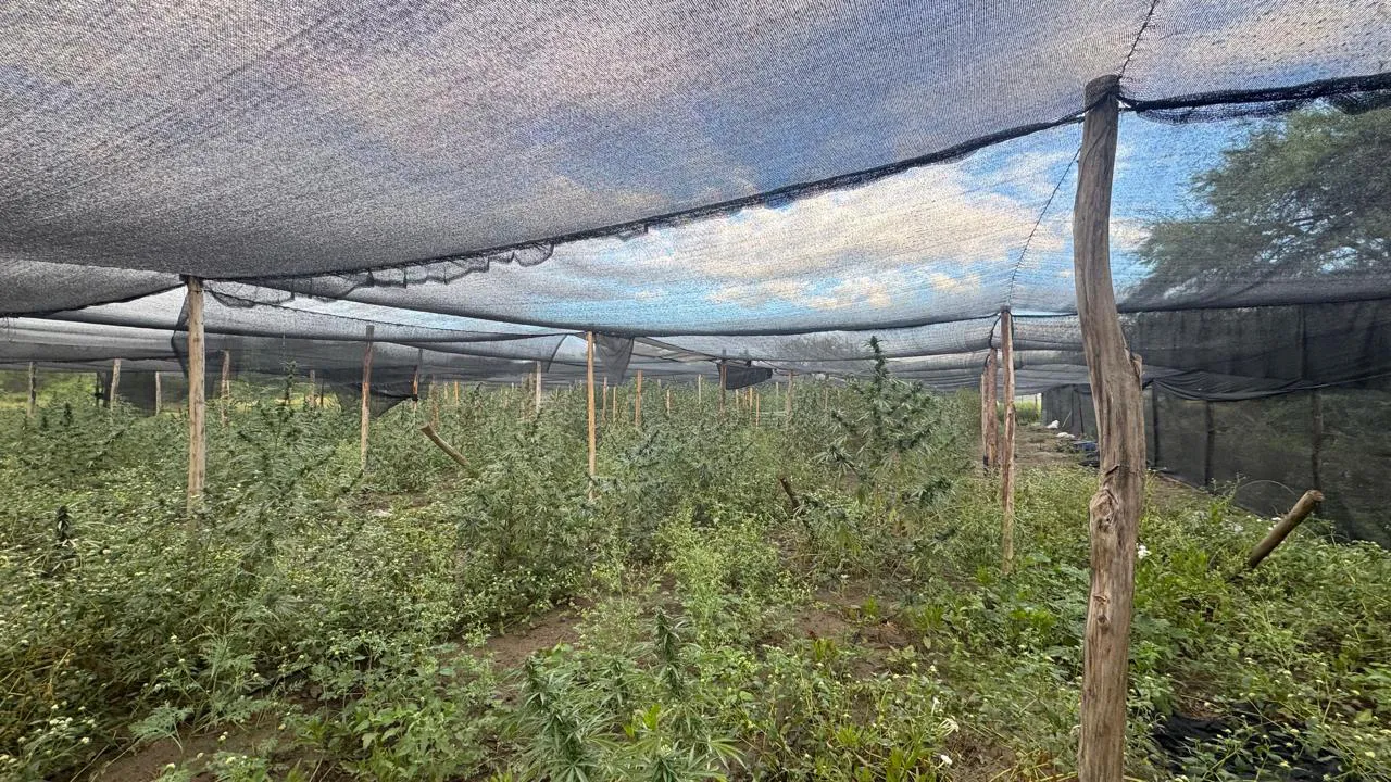 Imagen de WhatsApp 2025-05-21 a las 16.12.14_89af27a2