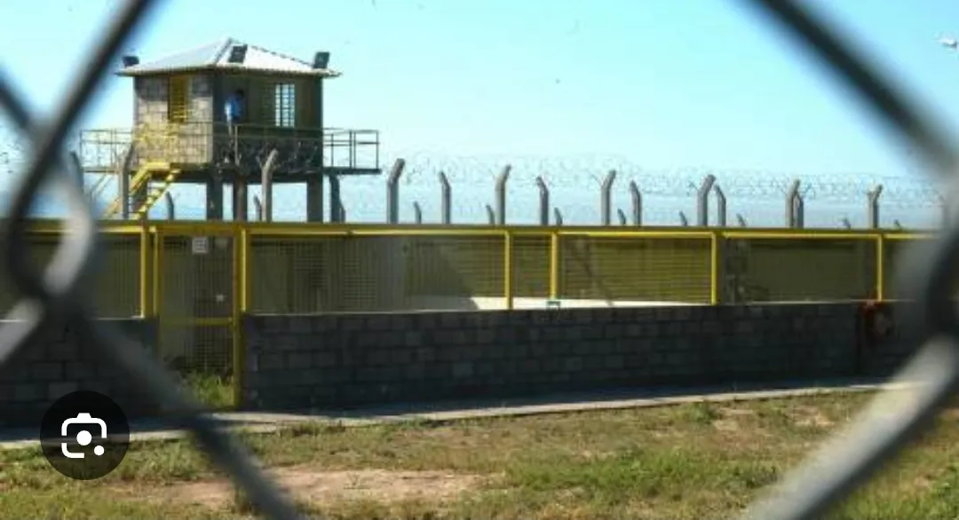 Screenshot_20251223_090419_Google