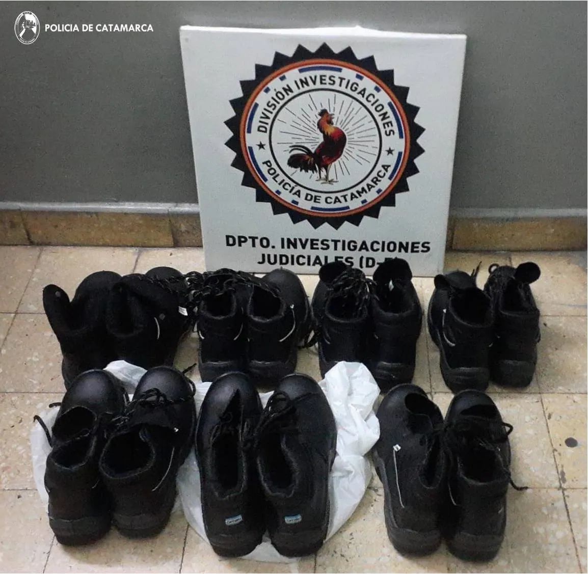 DIV. INVESTIGACIONES (2)