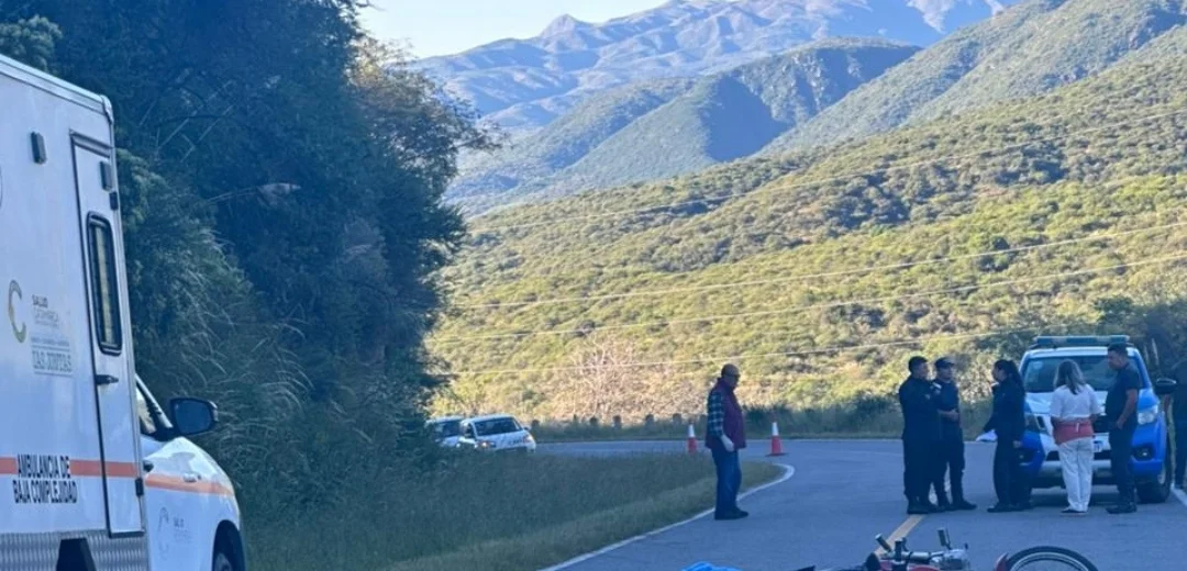 Screenshot_20260329_113000_WhatsApp