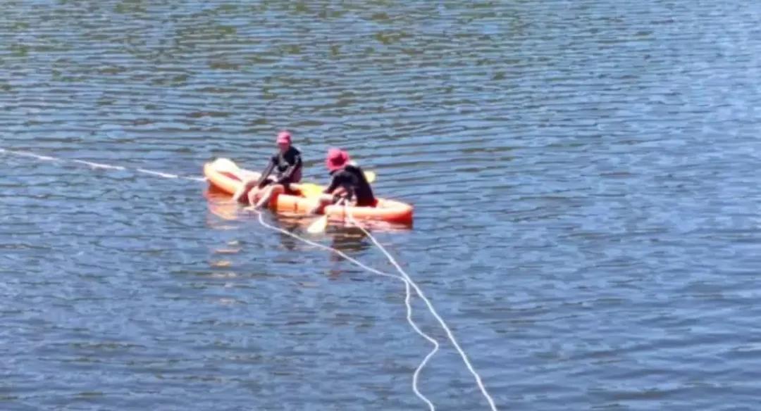 Screenshot_20251103_015154_Gallery